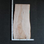 ブランド一覧 | ワールド オンラインストア cae95f36e9ff62d260e816396d0bb4 ダイニングテーブル