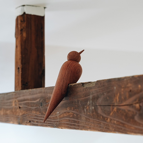 rewood-Living_bird-Swallow