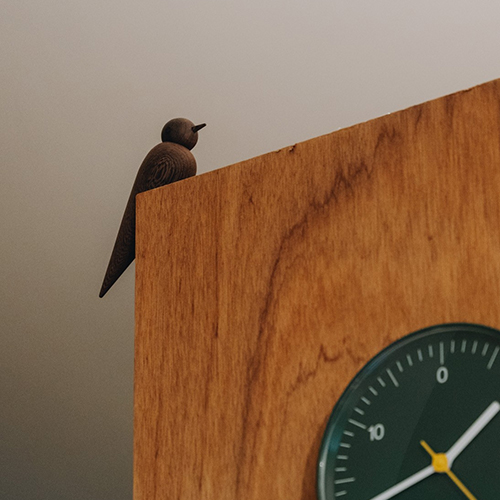 rewood-Living_bird-Swallow