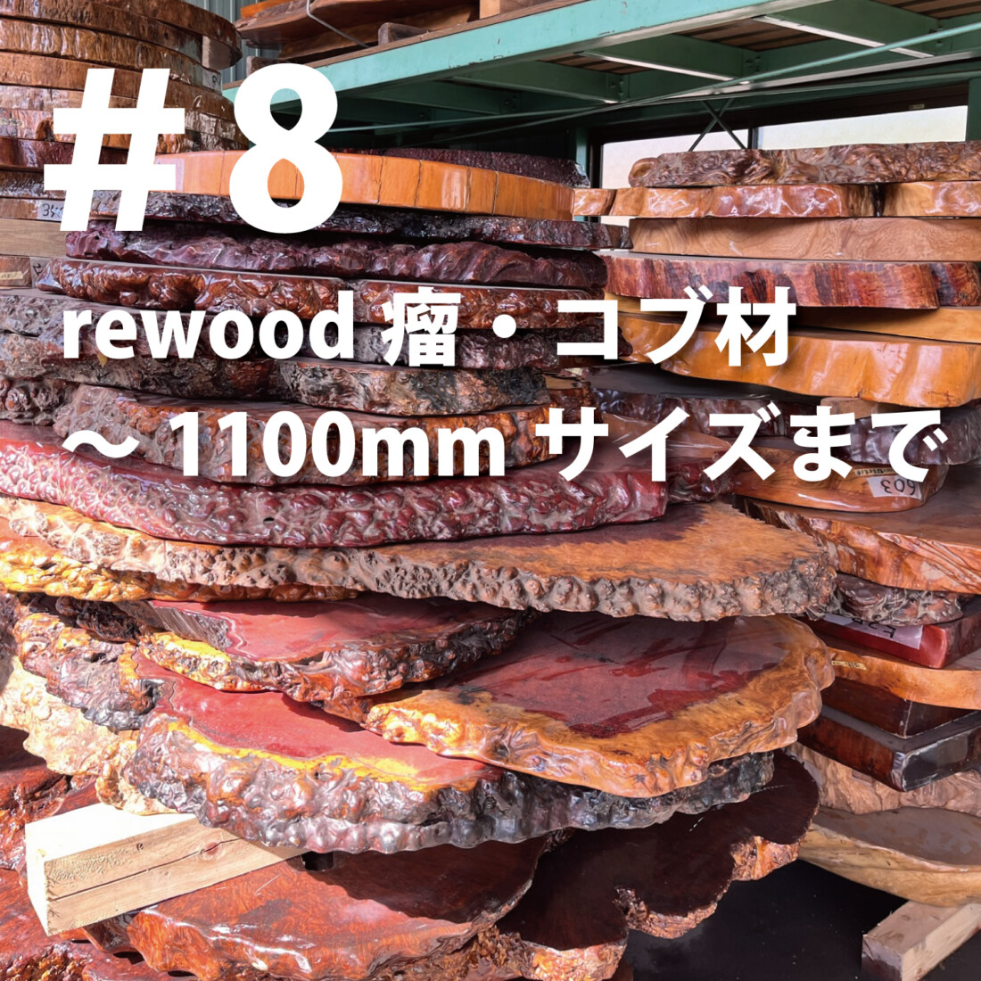 rewood counter 　瘤・コブ材　～1100ｍｍまで