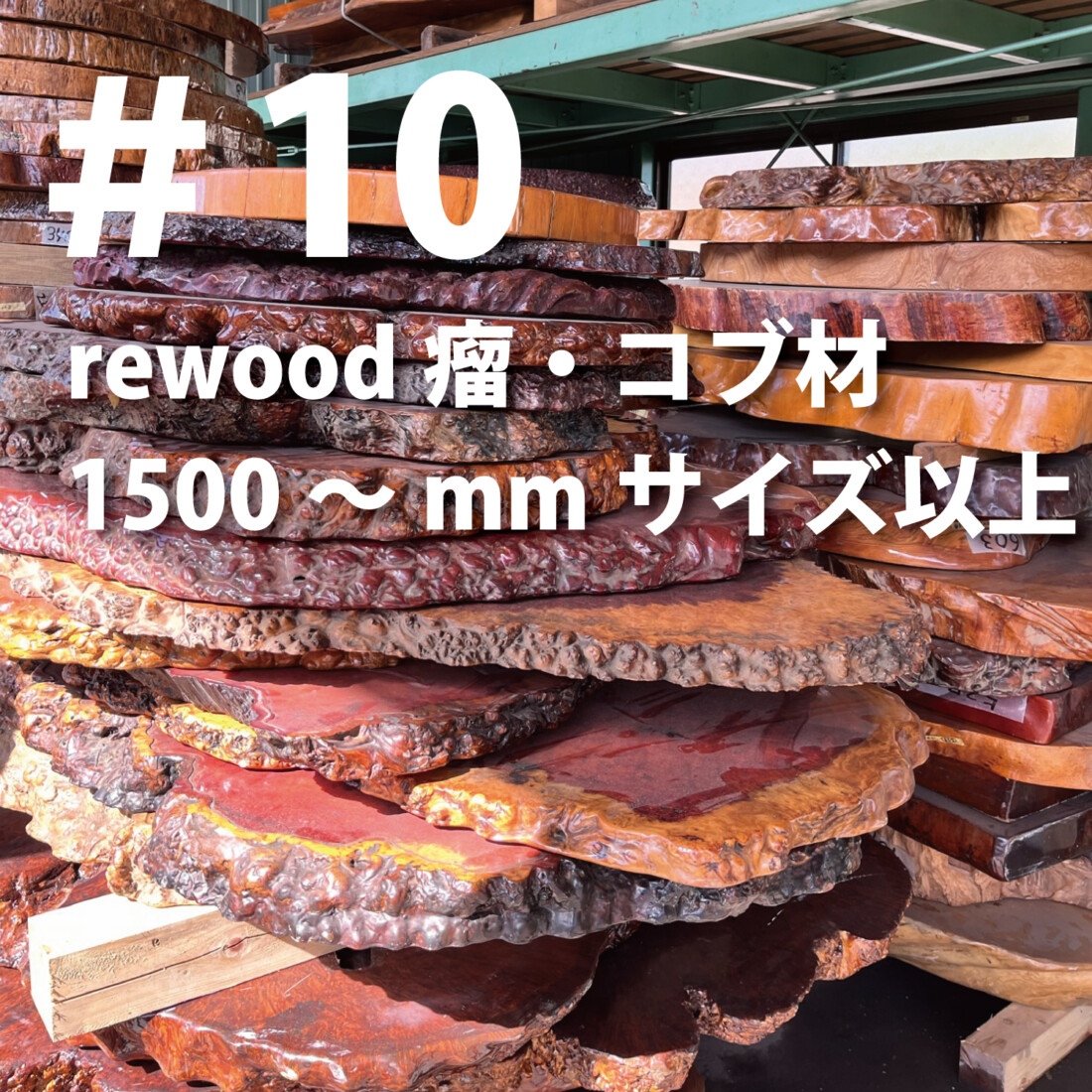 rewood counter 　瘤・コブ材　1500ｍｍ以上～プレミアム