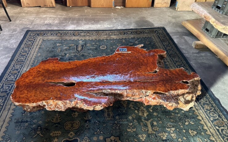 ＃TK-310　セコイア杉　瘤　オブジェ