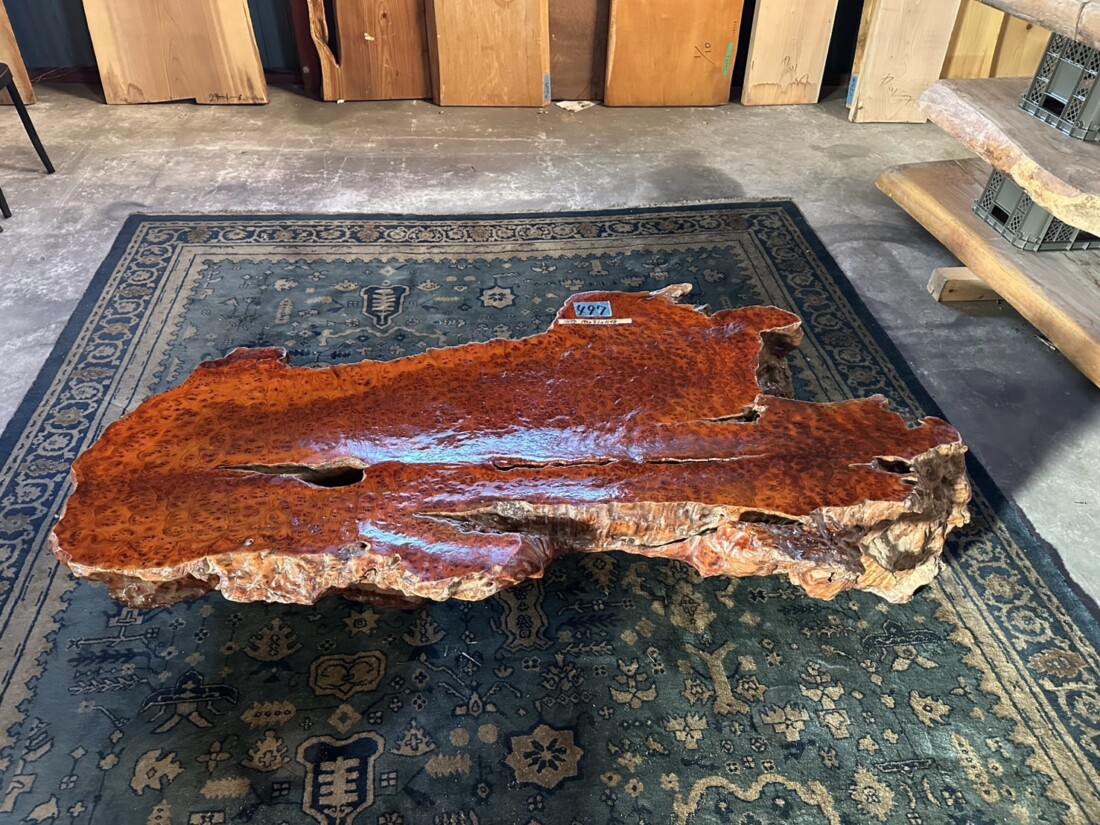 ＃TK-310　セコイア杉　瘤　オブジェ