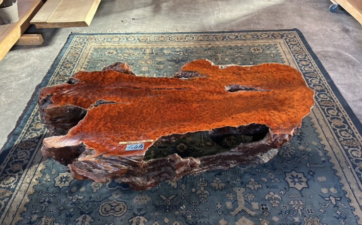 ＃TK-310　セコイア杉　瘤　オブジェ