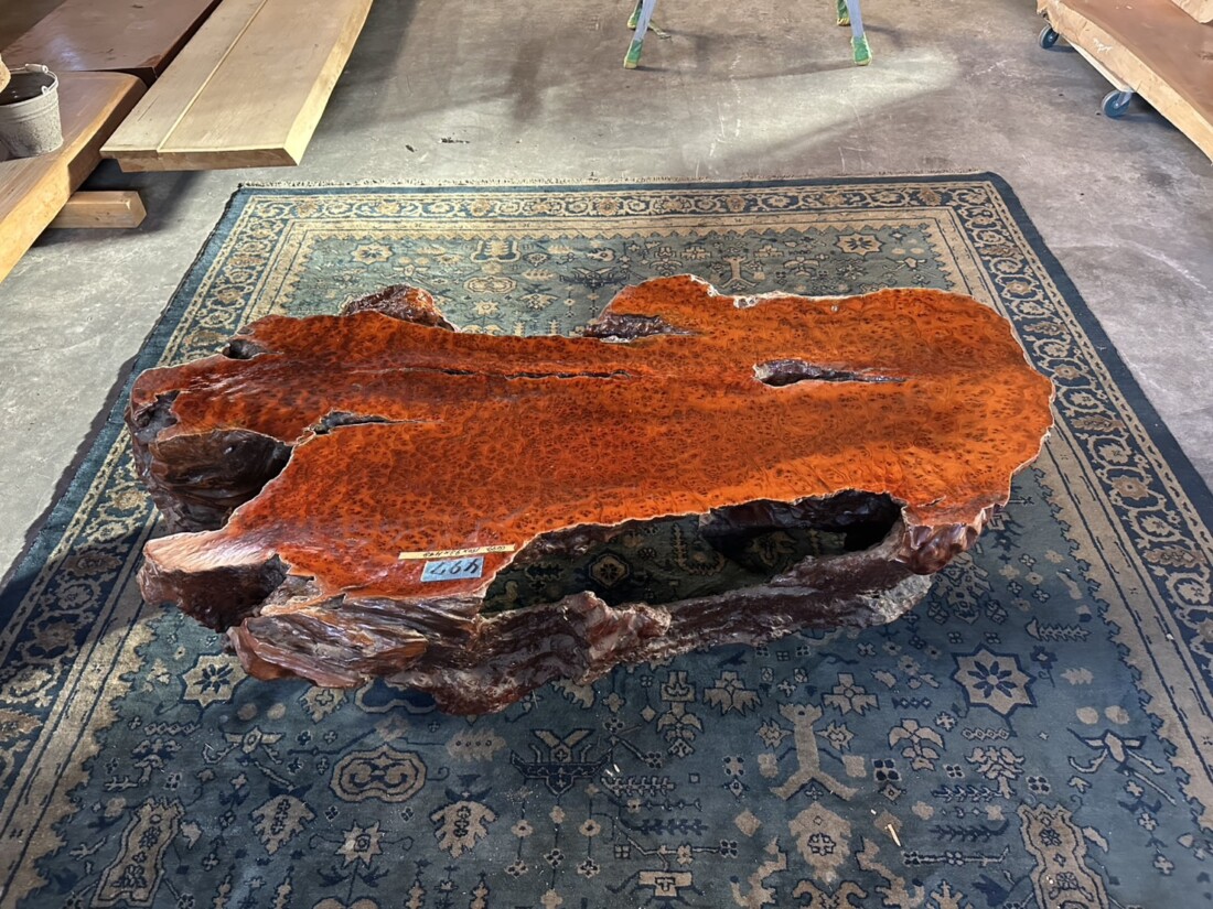 ＃TK-310　セコイア杉　瘤　オブジェ