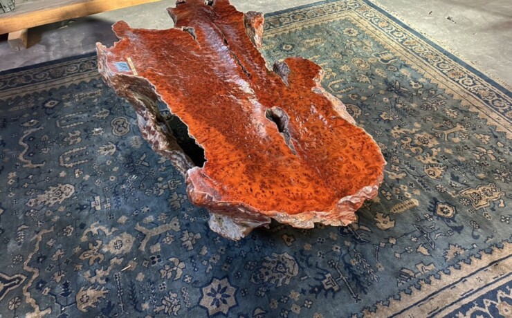 ＃TK-310　セコイア杉　瘤　オブジェ