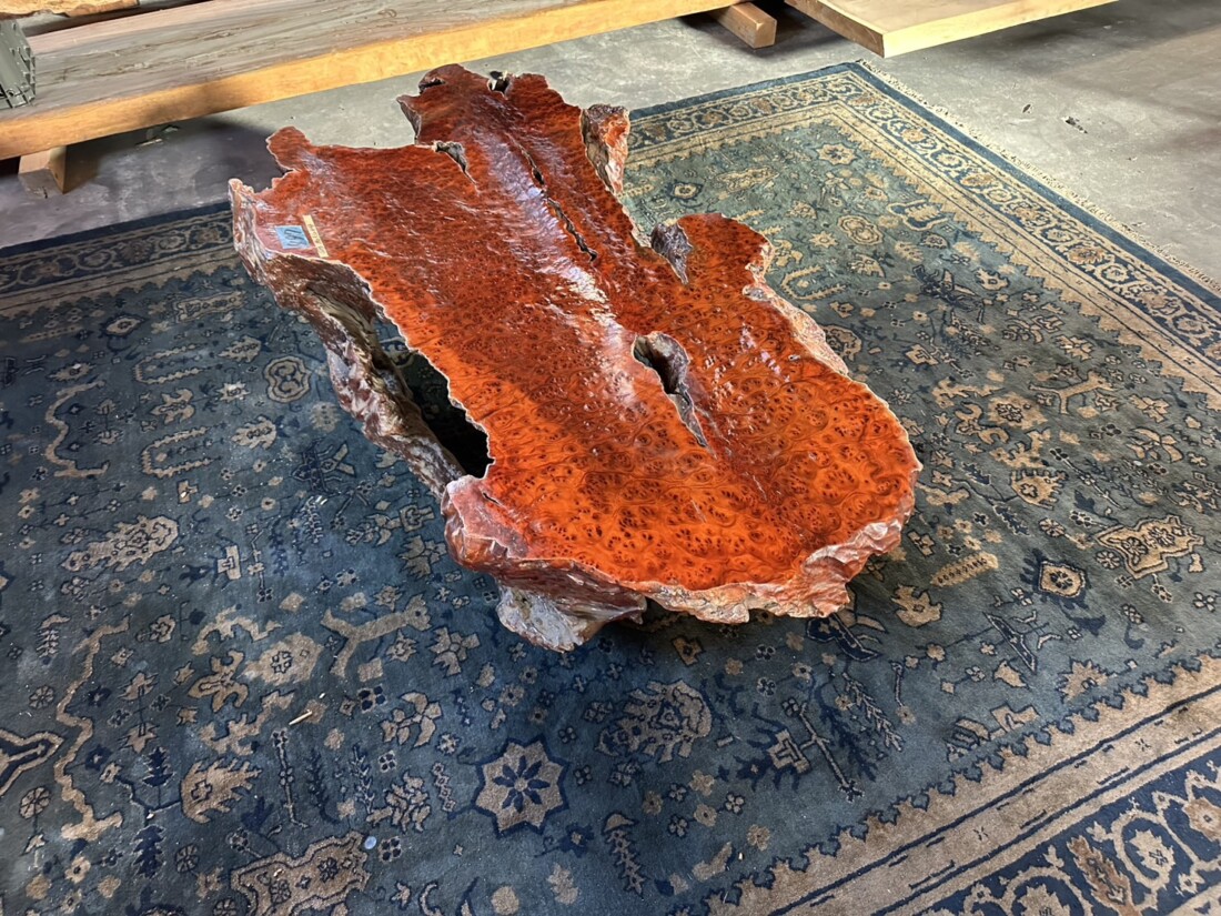 ＃TK-310　セコイア杉　瘤　オブジェ