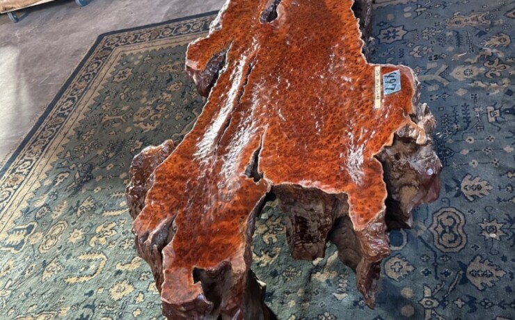 ＃TK-310　セコイア杉　瘤　オブジェ