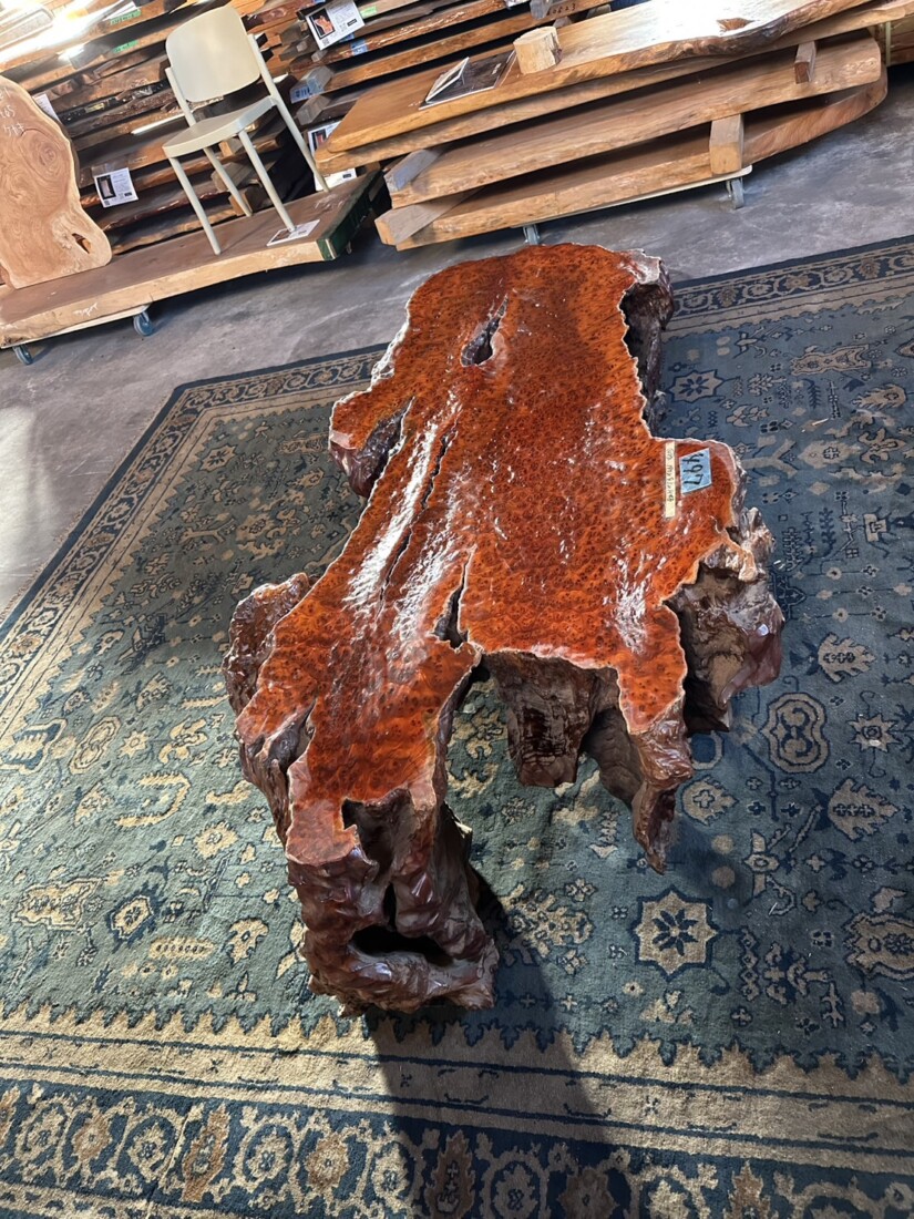 ＃TK-310　セコイア杉　瘤　オブジェ