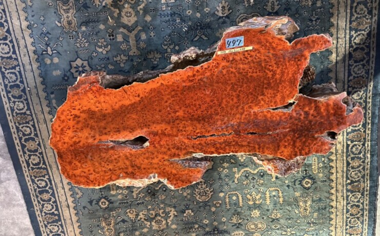 ＃TK-310　セコイア杉　瘤　オブジェ