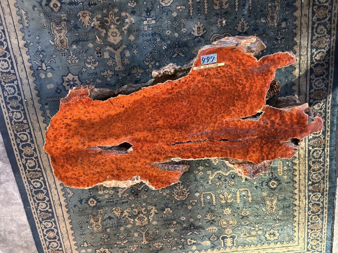 ＃TK-310　セコイア杉　瘤　オブジェ