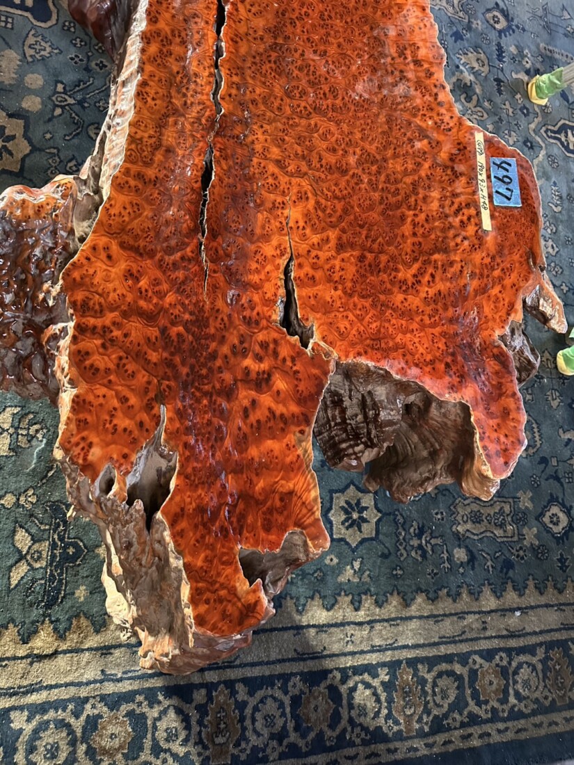 ＃TK-310　セコイア杉　瘤　オブジェ