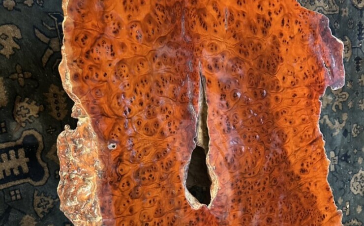 ＃TK-310　セコイア杉　瘤　オブジェ