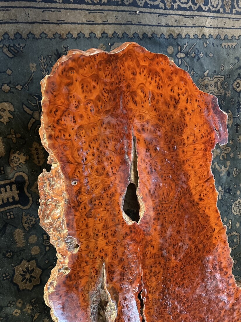 ＃TK-310　セコイア杉　瘤　オブジェ