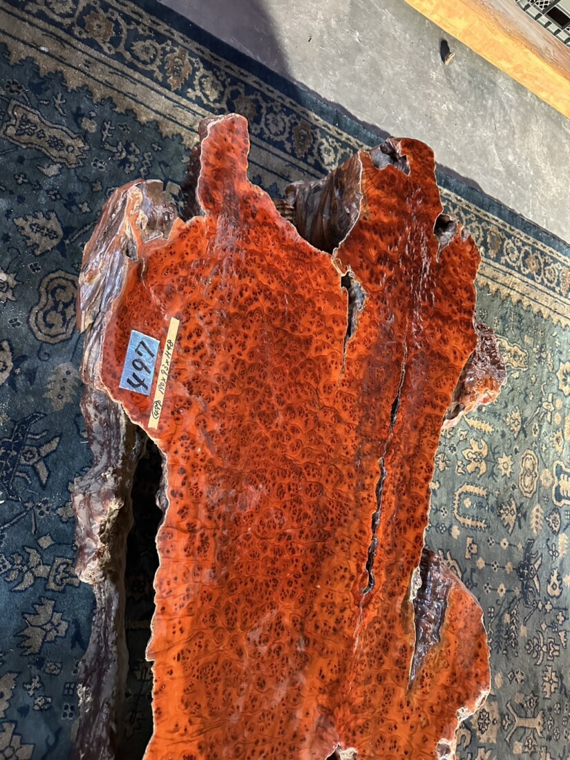 ＃TK-310　セコイア杉　瘤　オブジェ