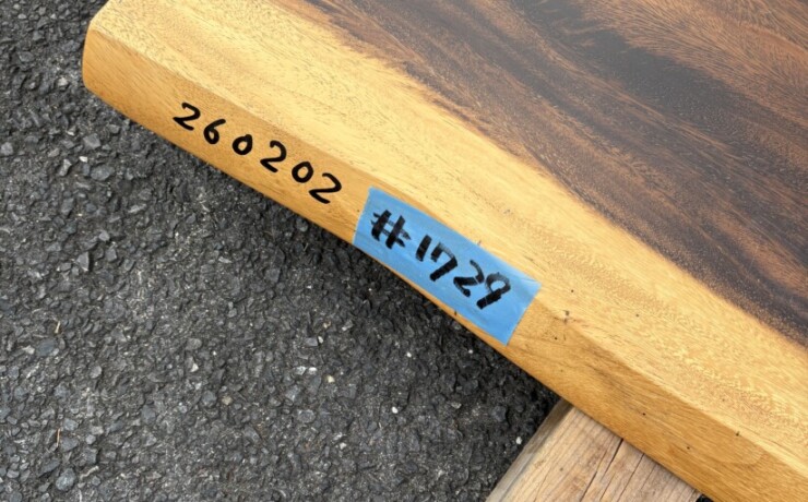 ＃1729　モンキーポッド