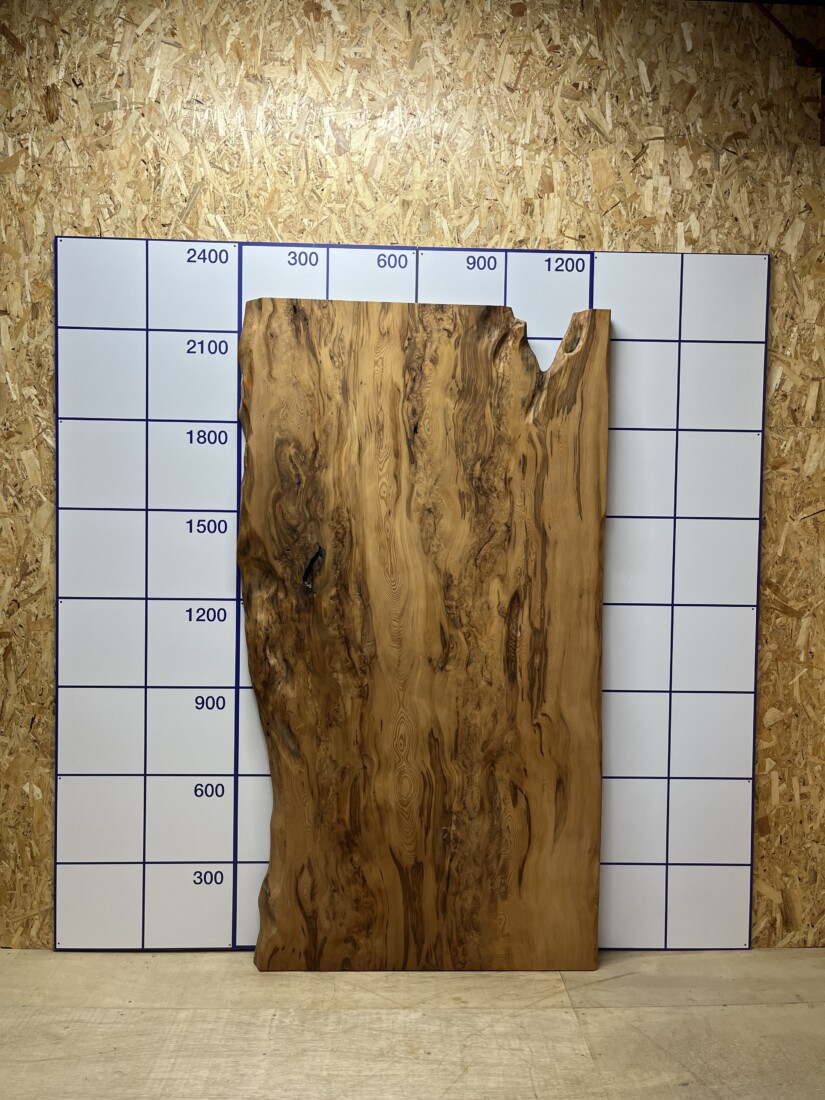 ＃1387 rewood プレミアム 屋久杉