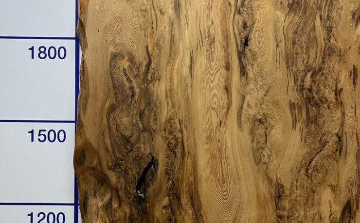 ＃1387 rewood プレミアム 屋久杉