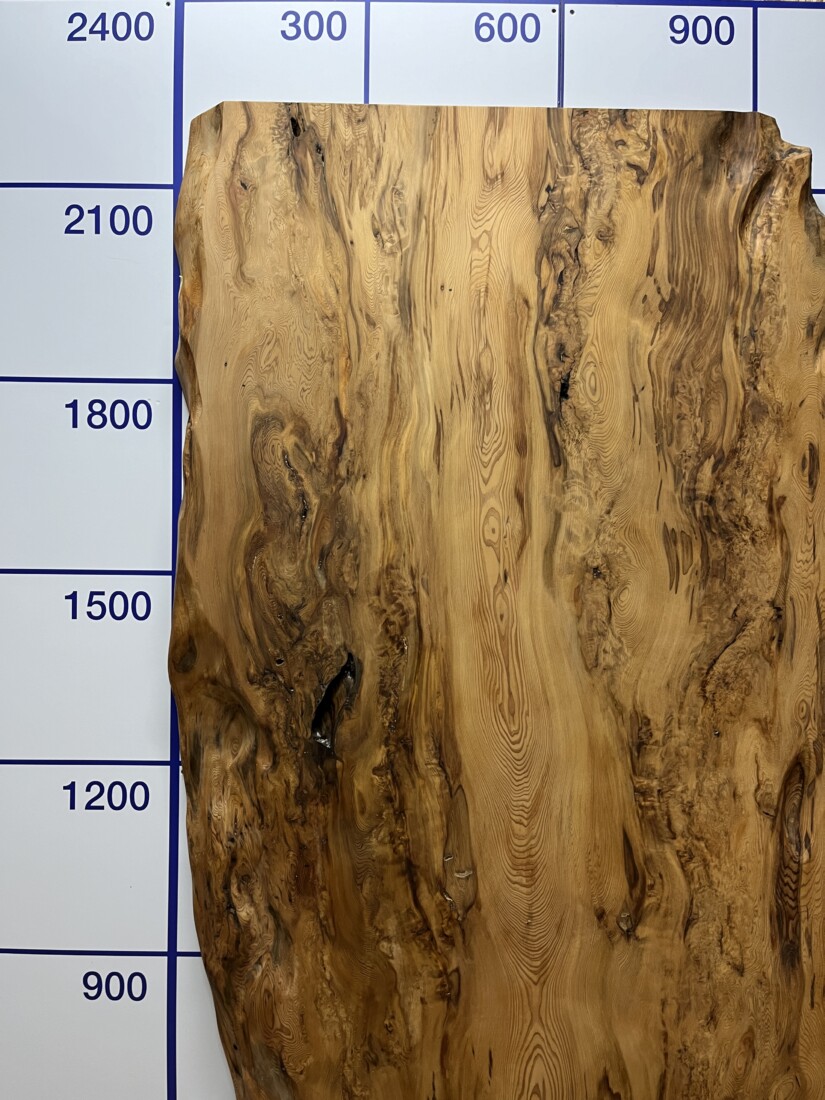 ＃1387 rewood プレミアム 屋久杉