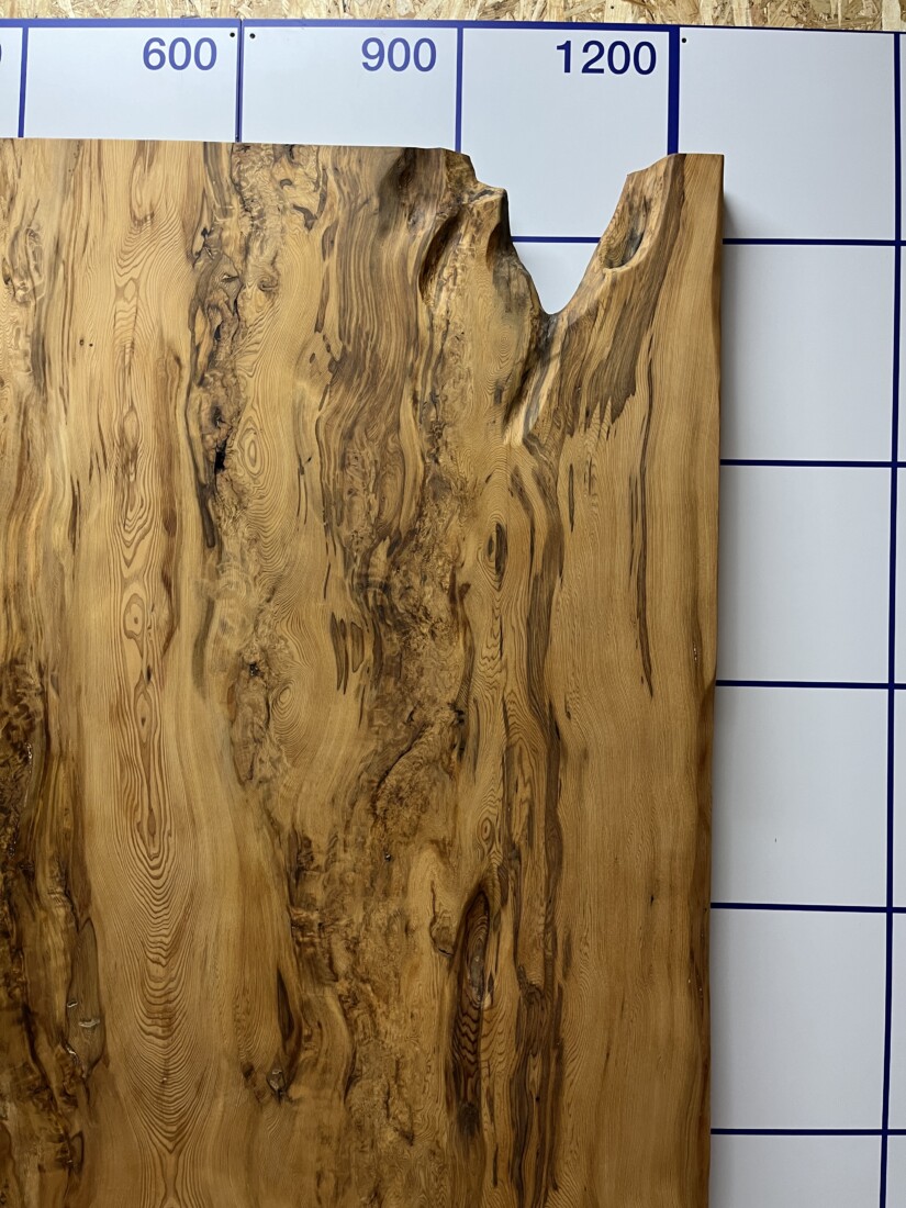 ＃1387 rewood プレミアム 屋久杉