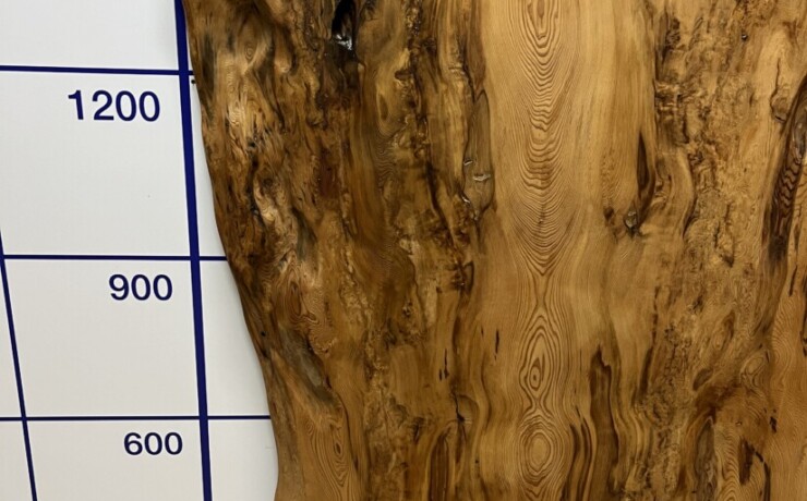 ＃1387 rewood プレミアム 屋久杉