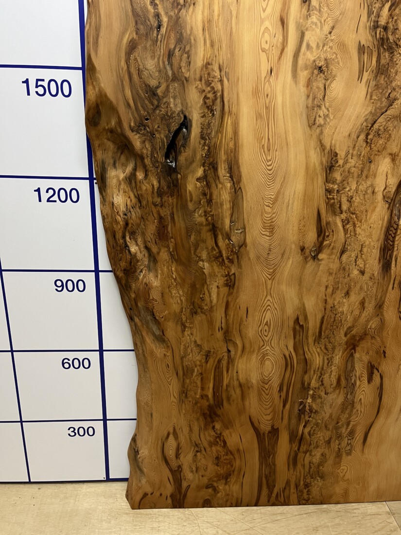 ＃1387 rewood プレミアム 屋久杉