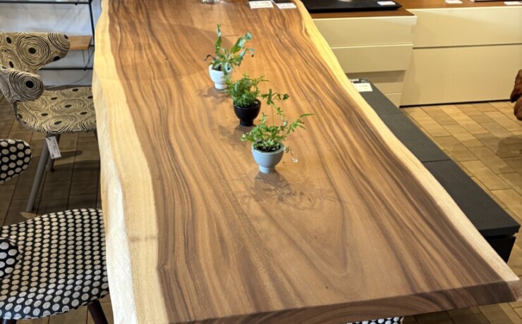 ＃3002 rewood プレミアム モンキーポッド