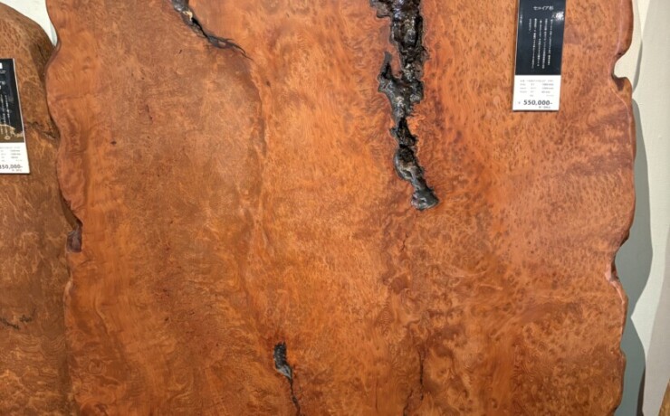 ＃943 rewood プレミアム セコイア杉　瘤材