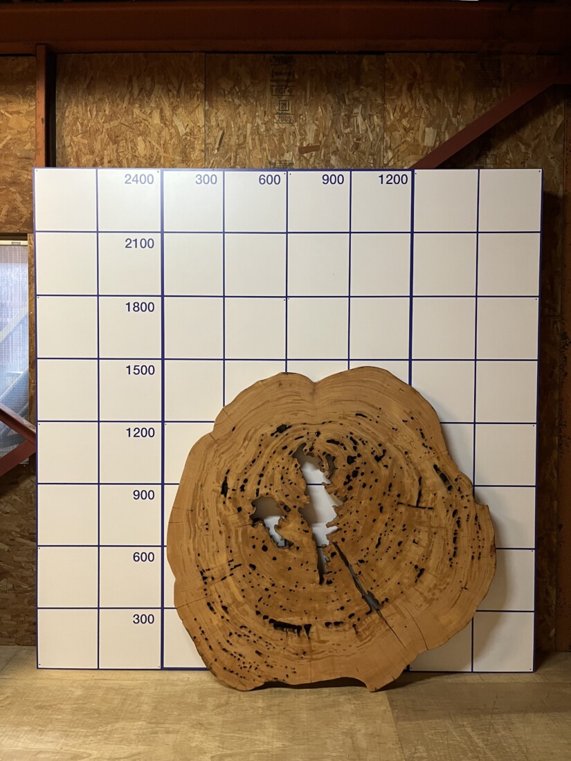 ＃988 rewood プレミアム 屋久杉 輪切り 空洞木