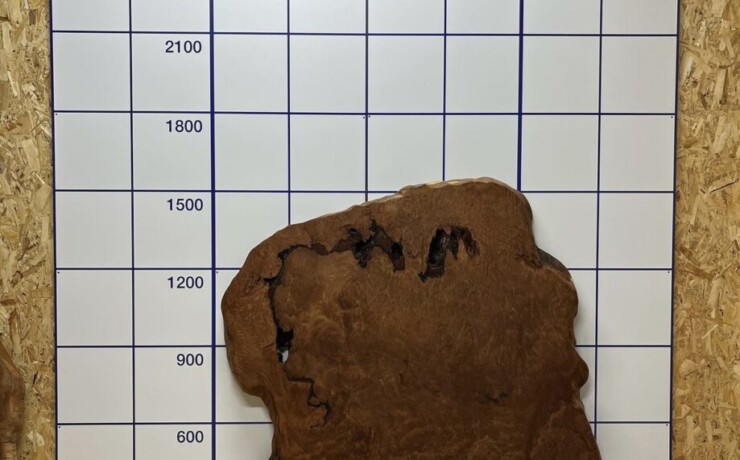 ＃1187 rewood プレミアム セコイア杉　瘤材