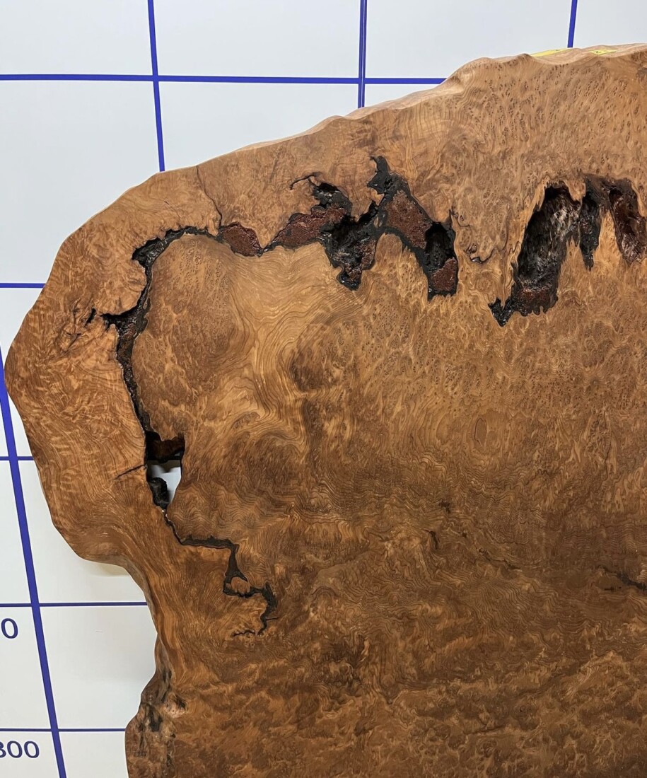 ＃1187 rewood プレミアム セコイア杉　瘤材