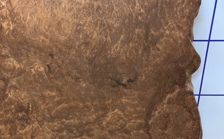 ＃1187 rewood プレミアム セコイア杉　瘤材