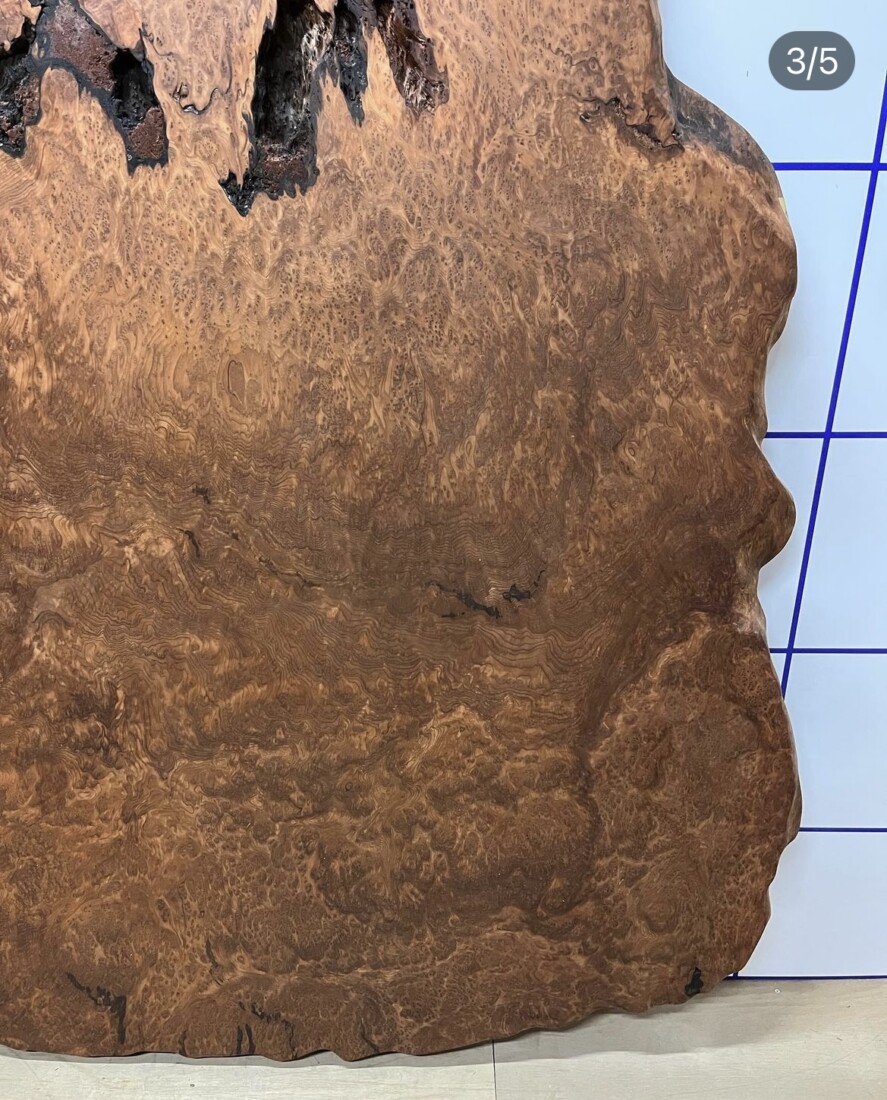 ＃1187 rewood プレミアム セコイア杉　瘤材