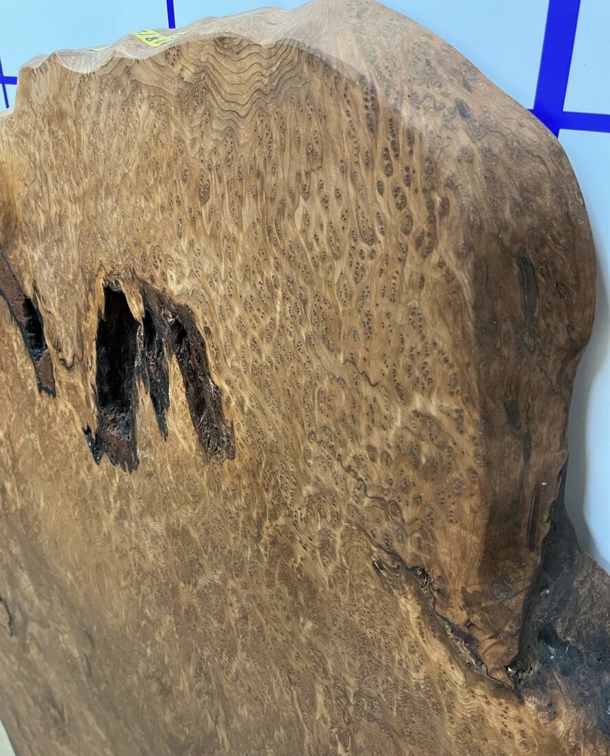 ＃1187 rewood プレミアム セコイア杉　瘤材