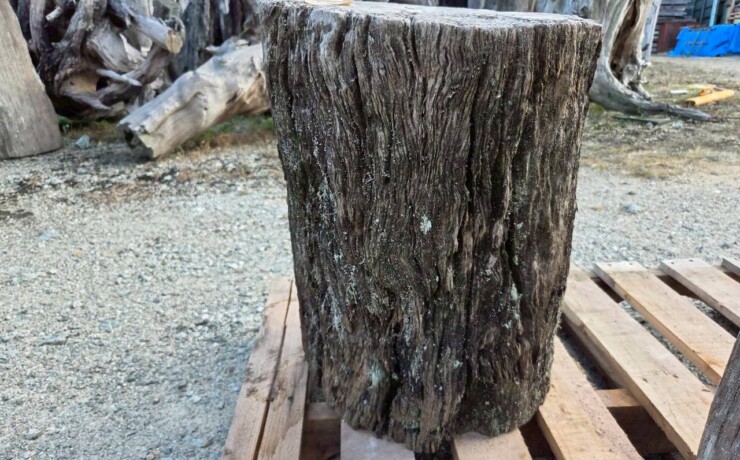 Vintage Teak ヴィンテージ  チーク材 「1000年チーク」　＃005　穴無しチーク切り株