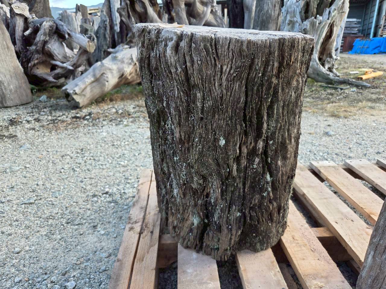 Vintage Teak ヴィンテージ  チーク材 「1000年チーク」　＃005　穴無しチーク切り株