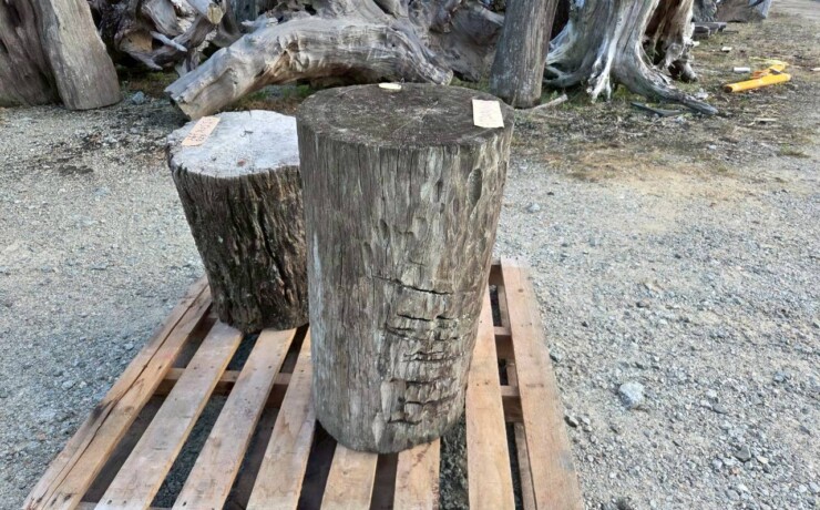 Vintage Teak ヴィンテージ  チーク材 「1000年チーク」　＃004　穴無しチーク切り株