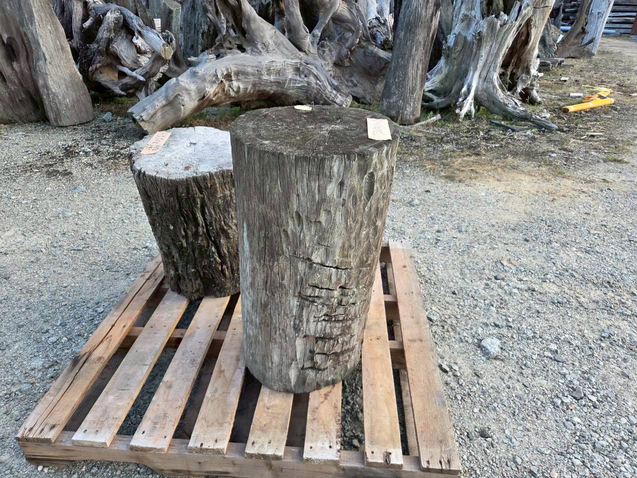 Vintage Teak ヴィンテージ  チーク材 「1000年チーク」　＃004　穴無しチーク切り株