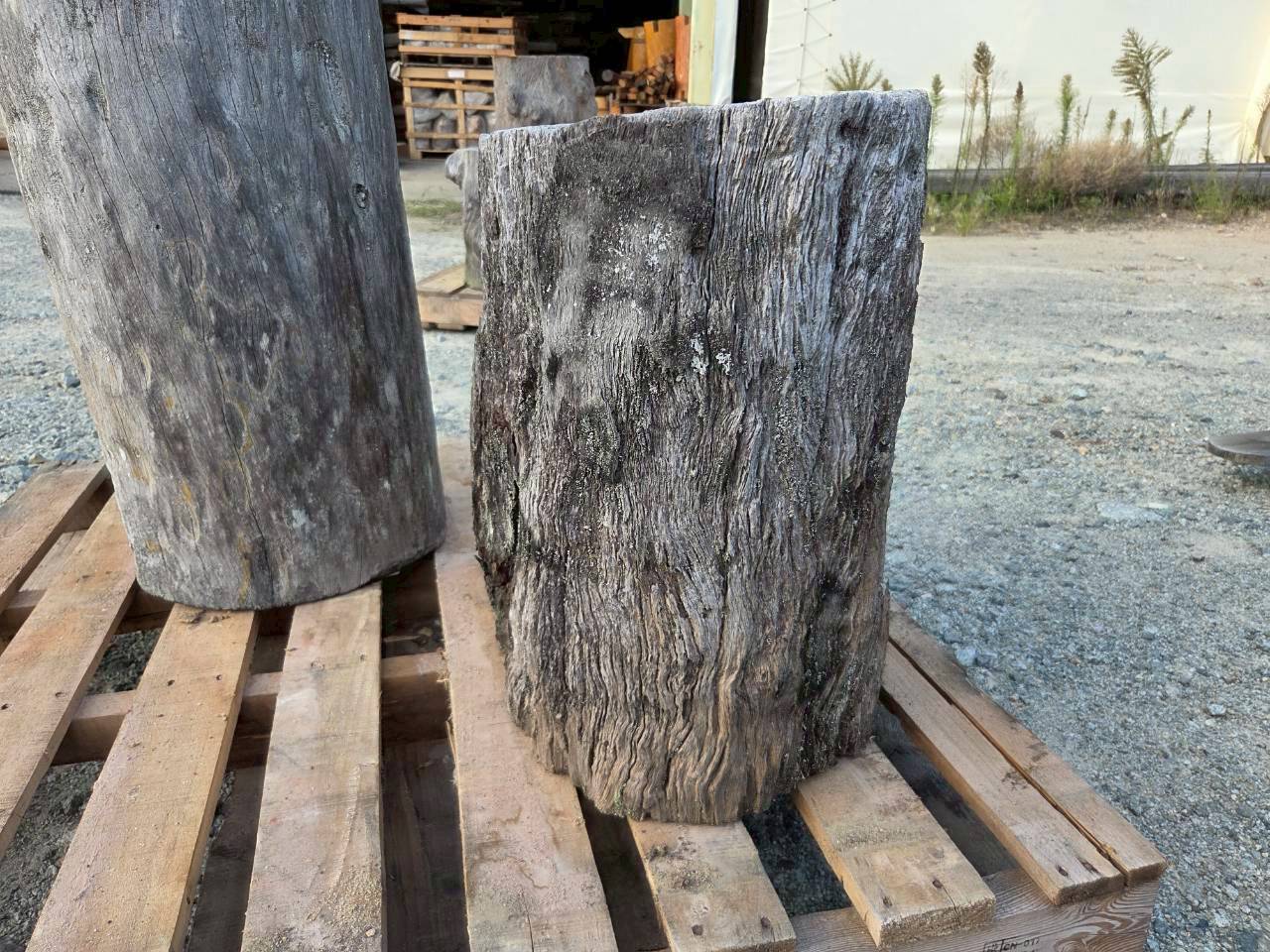 Vintage Teak ヴィンテージ  チーク材 「1000年チーク」　＃005　穴無しチーク切り株