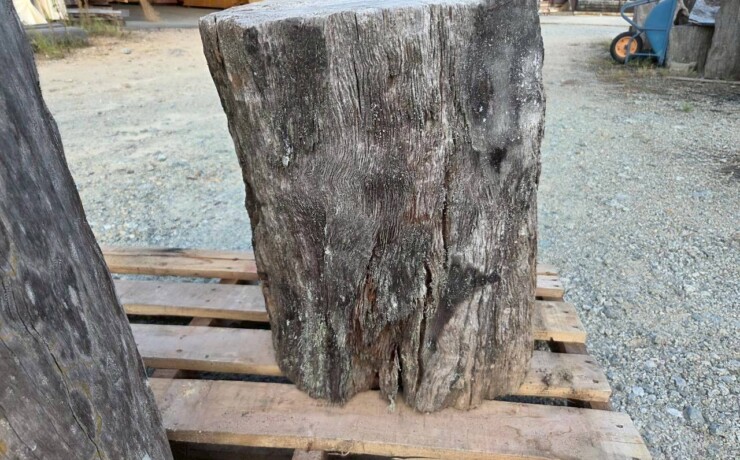 Vintage Teak ヴィンテージ  チーク材 「1000年チーク」　＃005　穴無しチーク切り株