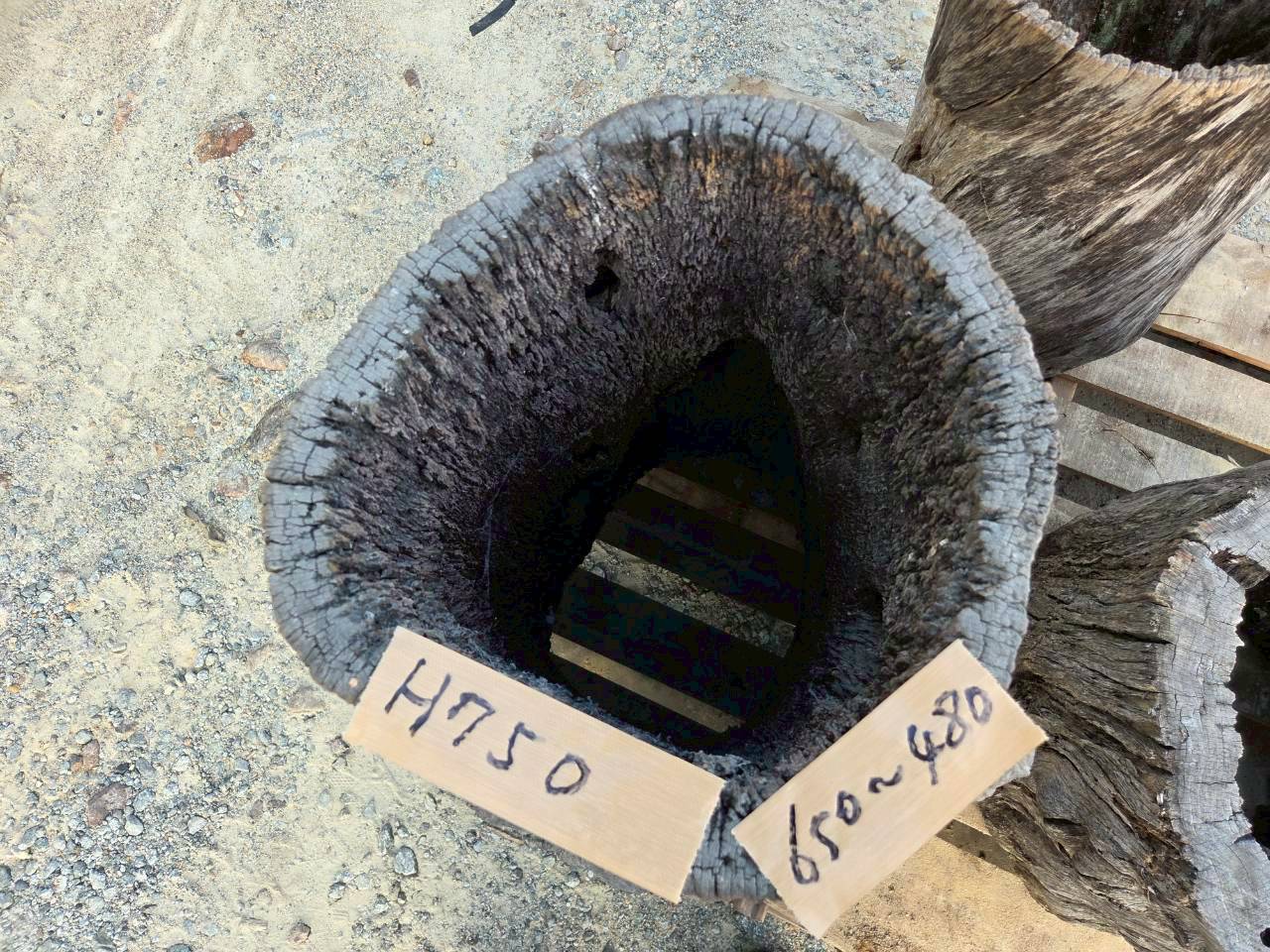 Vintage Teak ヴィンテージ  チーク材 「1000年チーク」　＃006　穴空きコブありチーク切り株