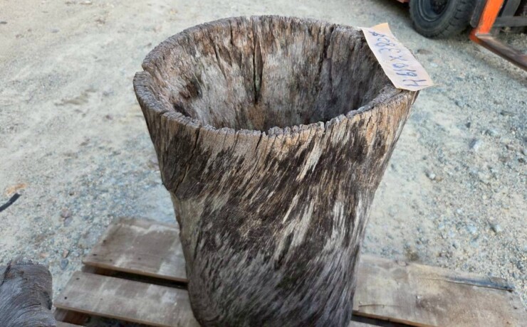 Vintage Teak ヴィンテージ  チーク材 「1000年チーク」　＃008　穴空きコブありチーク切り株