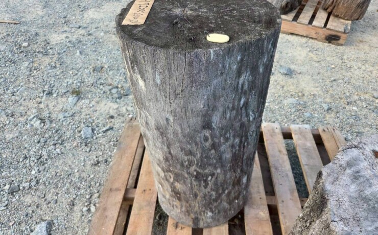 Vintage Teak ヴィンテージ  チーク材 「1000年チーク」　＃004　穴無しチーク切り株