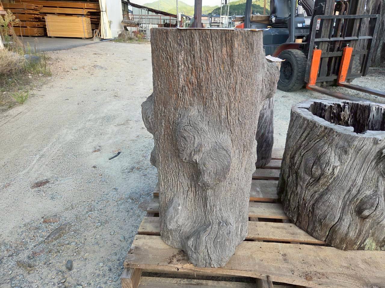 Vintage Teak ヴィンテージ  チーク材 「1000年チーク」　＃006　穴空きコブありチーク切り株