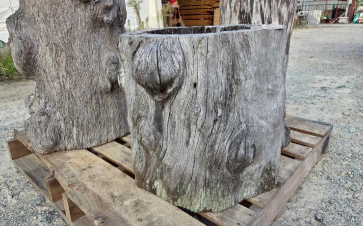 Vintage Teak ヴィンテージ  チーク材 「1000年チーク」　＃007　穴空きコブありチーク切り株