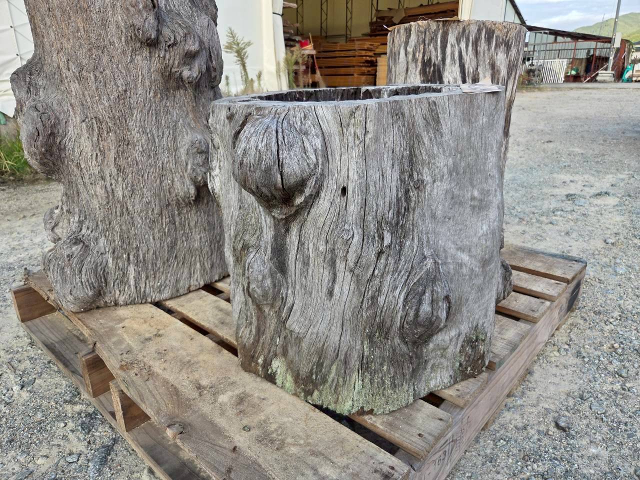 Vintage Teak ヴィンテージ  チーク材 「1000年チーク」　＃007　穴空きコブありチーク切り株