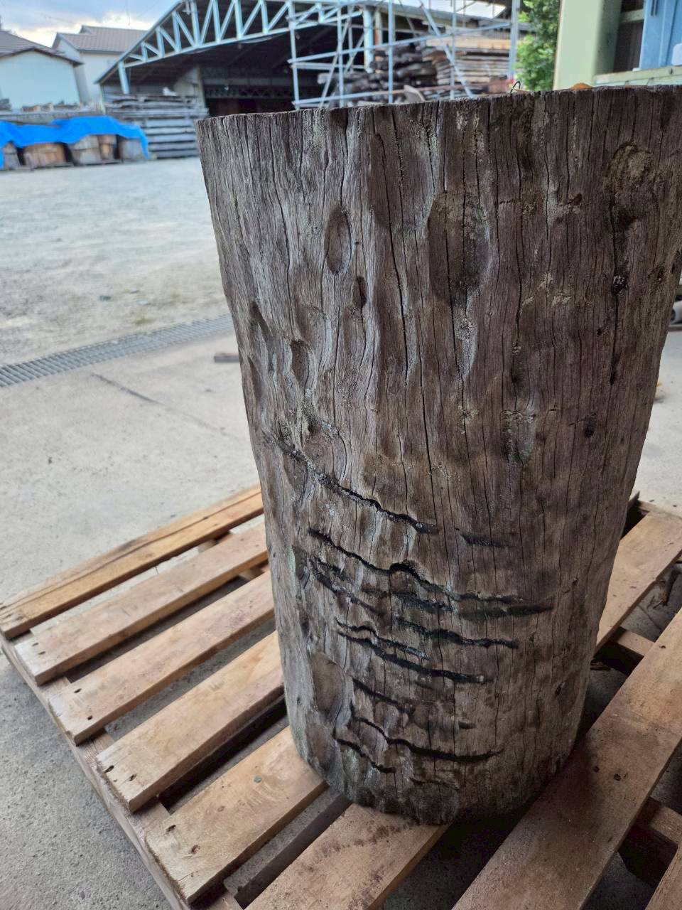 Vintage Teak ヴィンテージ  チーク材 「1000年チーク」　＃004　穴無しチーク切り株