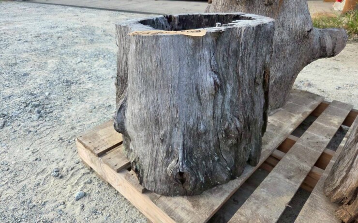 Vintage Teak ヴィンテージ  チーク材 「1000年チーク」　＃007　穴空きコブありチーク切り株