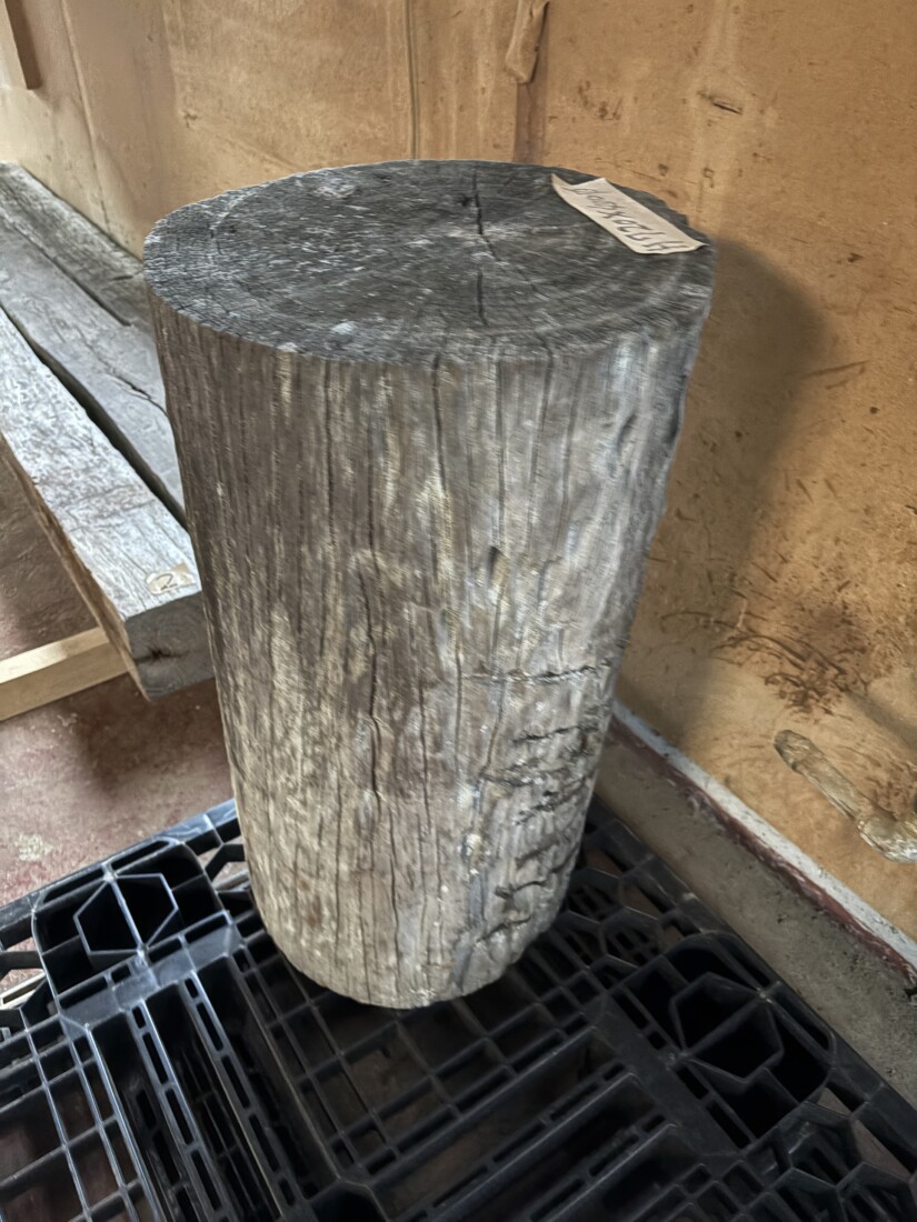 Vintage Teak ヴィンテージ  チーク材 「1000年チーク」　＃004　穴無しチーク切り株