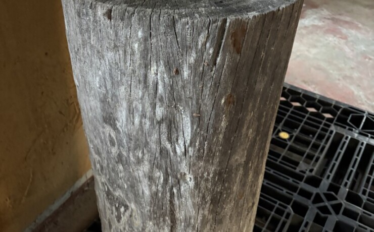 Vintage Teak ヴィンテージ  チーク材 「1000年チーク」　＃004　穴無しチーク切り株